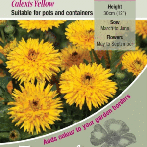 Kings Seeds Calendula Calexis Yellow - 100 Seeds