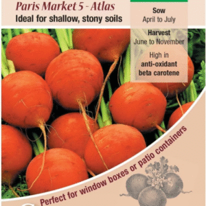 Kings Seeds Carrot Paris Market 5 Atlas 750 Seeds