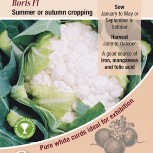 Kings Seeds Cauliflower Boris F1 - 25 Seeds
