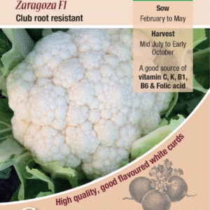 Kings Seeds Cauliflower Zaragoza F1 - 25 Seeds