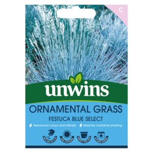 Unwins Flower Ornamental Grass Festuca Blue Select - 100 Seeds