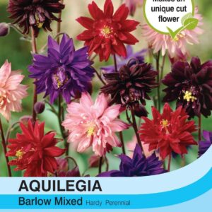 Thompson & Morgan Aquilegia Nora Barlow Mixed 50 Seed