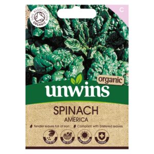 Unwins Vegetable Organic Spinach America - 500 Seeds
