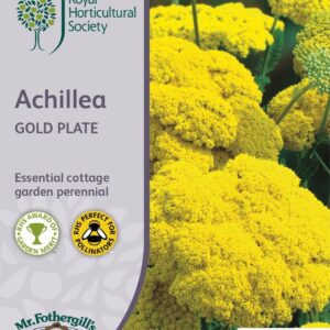 Mr Fothergills RHS Achillea Gold Plate 500 Seeds