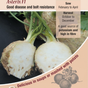 Kings Seeds Celeriac Asterix F1 - 50 Seeds