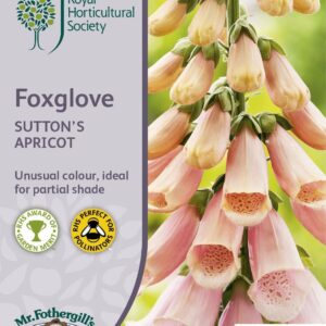 Mr Fothergills RHS Foxglove Sutton's Apricot 2500 Seeds