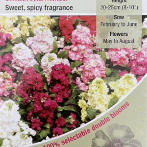 Kings Seeds Stock Cinderella Mixed 100 Seed