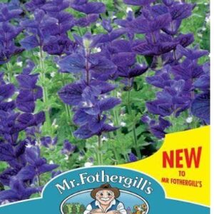 Mr Fothergills - Flower - Clary Blue Monday - 300 Seeds