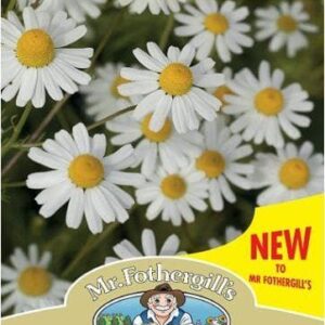 Mr Fothergills - Wild Flower - Corn Chamomile - 500 Seeds