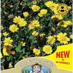 Mr Fothergills - Wild Flower - Corn Marigold - 500 Seeds