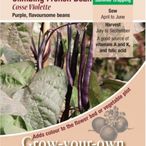 Kings Seeds Climbing French Bean Cosse Violette Seeds
