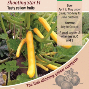Kings Seeds Courgette Shooting Star F1 - 10 Seeds