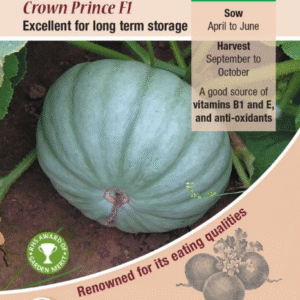 Kings Seeds Squash Winter Crown Prince F1 - 6 Seeds