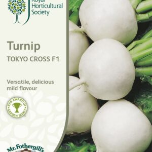 Mr Fothergills RHS Turnip Tokyo Cross F1 500 Seeds