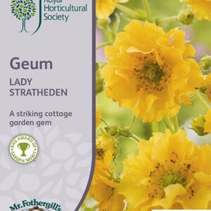 Mr Fothergills RHS Geum Lady Stratheden 50 Seeds