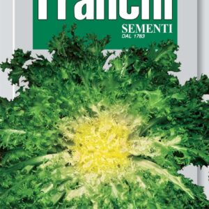 Franchi Seeds of Italy - DBO 75/1 - Endive - Pancalieri A Costa Bianca - Seeds