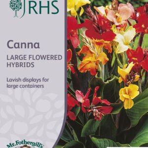 Mr Fothergills - RHS - Flower - Canna - Large Flowered Hybrids - 25 Seeds
