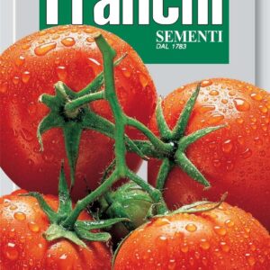 Franchi Seeds of Italy Tomato Saint Pierre Seeds