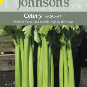 Johnsons Celery Hadrian F1 - 200 Seeds