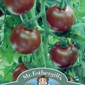 Mr Fothergills Tomato Sunchocola F1 Hybrid - 10 Seeds