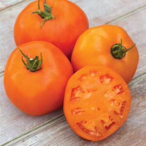 Tomato Orange Slice F1 Hybrid Seeds