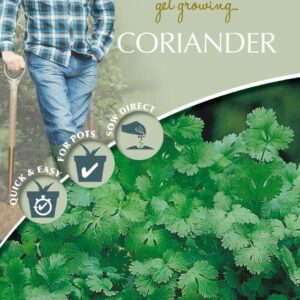 Mr Fothergills - Herb - David Domoney Coriander Cilandro - 150 Seeds