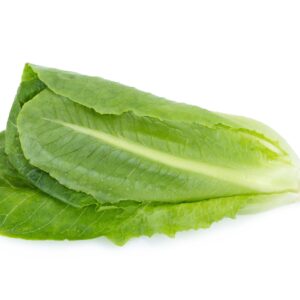 Lettuce Winter Density Seeds