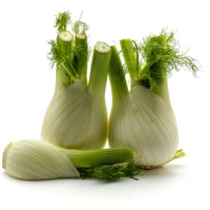 Fennel Sweet Florence Seeds