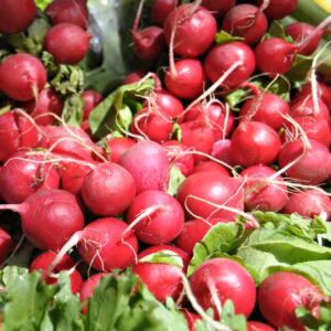 Radish Cherry Belle Seeds