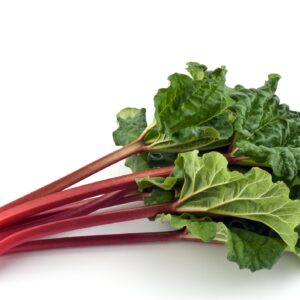 Kings Seeds  Rhubarb Glaskins Perpetual Seeds