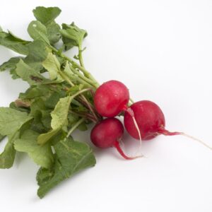 Organic Radish Giant of Sicily Seeds