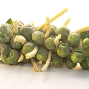 Organic Brussels Sprout Nautic F1 Hybrid Seeds
