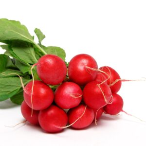 Radish Early Scarlet Globe Seeds