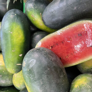 Watermelon Charleston Gray Seeds