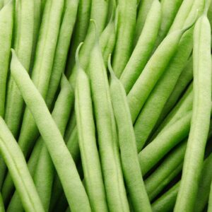 Suffolk Herbs - Organic - Climbing French Bean - Cobra Seeds