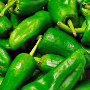 Pepper (Chilli) Padron Seeds