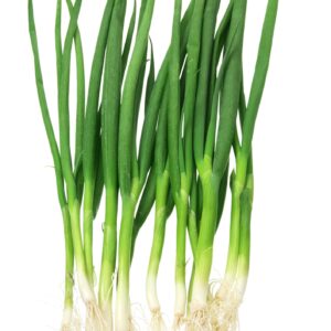 Kings Seeds Onion Spring White Lisbon (Winter Hardy) 600 Seeds