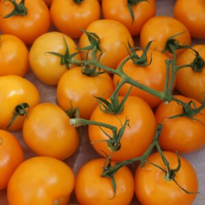 Tomato Golden Crown Seeds