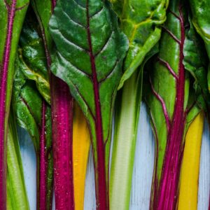 Beet Leaf Chard Rainbow Mixed Seeds
