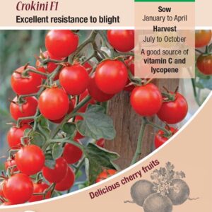 Kings Seeds Tomato Crokini F1 Hybrid Seed