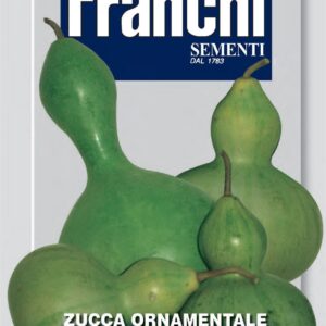 Franchi Seeds of Italy - Flower - FDBF_ 360-2 - Ornamental Squash - Flash or Bottle Shaped - Seeds