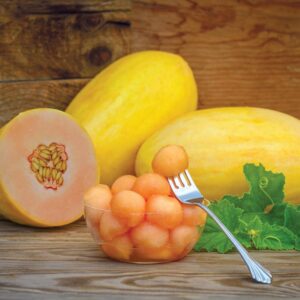 Melon Mangomel F1 Seeds