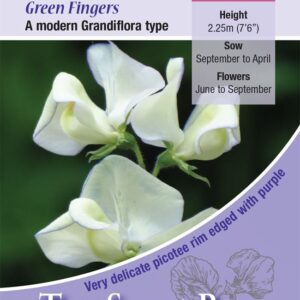 Kings Seeds Sweet Pea Greenfingers 20 Seeds