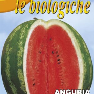 Franchi Organic BIOB3/6 Watermelon Crimson Sweet Seeds