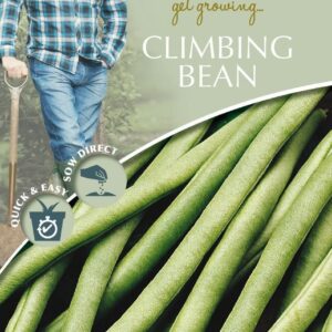 Mr Fothergills - David Domoney - Vegetable - Climbing Bean - Cobra - 60 Seeds
