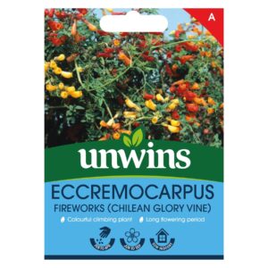 Unwins Flower Eccremocarpus Fireworks (Chilean Glory Vine) - 30 Seeds