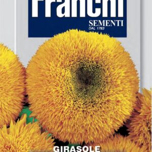 Franchi Seeds of Italy - Flower - FDBF_ 329-2 - Sunflower - Girasole Nano Giallo - Dwarf - Seeds