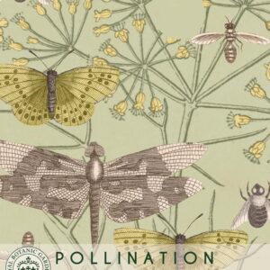 Thompson & Morgan Kew Pollinators Vegetable Fennel - 250 Seeds