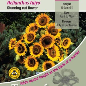 Kings Seeds  Sunflower Taiyo Seeds