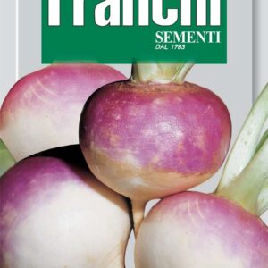 Franchi Seeds of Italy Turnip Tonda A Colletto Viola Seeds
